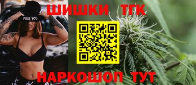трава Сланцы