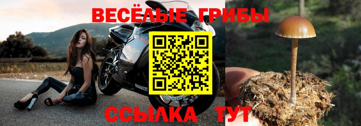 Псилоцибиновые грибы Magic Shrooms  Вход с VPN  купить   Нарткала 