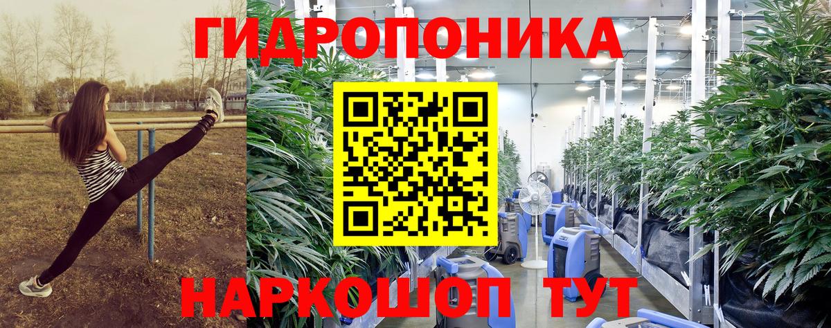 Бошки марихуана индика  Марихуана тримм  Вход с VPN  Нарткала 